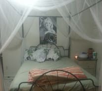 Carbondale Apartment | Lake Ashley