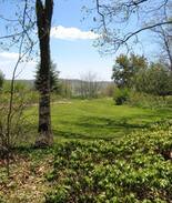 Newland Cabin | The Cabin Of The Painted Bear (at the Vista).