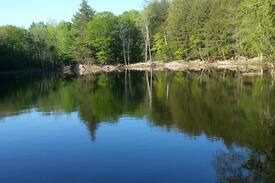 Whitestone Cabin | Delightful Wolfhound Cottage on Lake Wahwashkesh