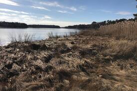 Mashpee Neck House | Our Cape Escape- By Willowbend, Cotuit + Ocean!