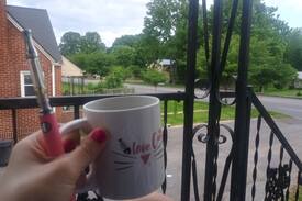 Middlesboro House | The Birds Nest