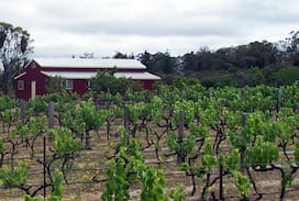 Glen Aplin Other | Jollity Farm on the Granite Belt