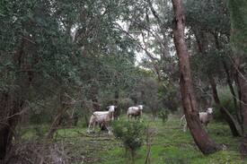 Onkaparinga Hills Other | Alma Park is quiet, private and close to amenities