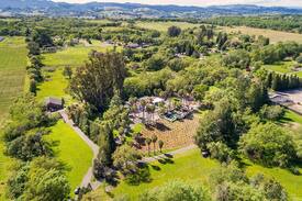 Windsor Villa | Villa Terra Bella | A Sonoma Vineyard Estate