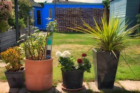 Whitstable House | Quirky, Artist's Garden Cabin, Whitstable, Kent