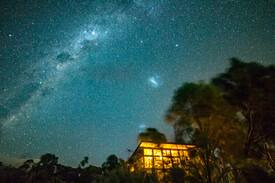 Sellicks Hill Other | The Treehouse McLaren Vale Vineyard