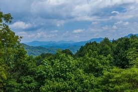 Waynesville Cabin | Apple Blossom Cabin