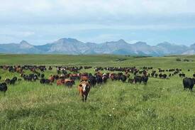 Division No. 3 Other | fishburn ranch