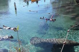 Homosassa Springs House | Mermaid's Rest Bed and Breakfast