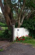 Rose Valley Cabin | Tyno Cabin - Cosy garden cabin in Rose Valley