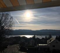 Meilen District House | Die grüne Oase nah vom Zentrum