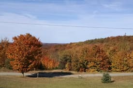 Mancelona Cabin | Maple Ridge Cabins - Maple View