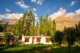 Nubra Valley Hotel | The Kesar, Nubra Valley