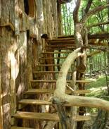 West Pawlet Other | The Hermit Thrush Treehouse
