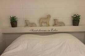 Exloo House | Knus huisje in Exloo met grote tuin ( Drenthe ) 72