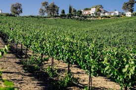 Templeton House | Loma Maria - Luxury in California Wine Country