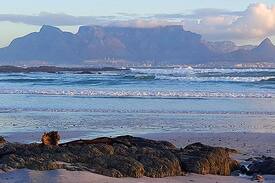 Bloubergstrand Cabin | Cozy Cottage Close to the Beach
