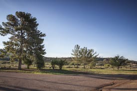Superior Other | Box 8 Ranch