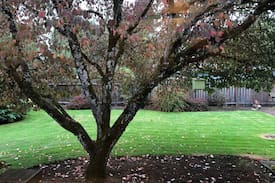 Stayton House | A Star Shines in Stayton (near Salem)