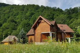 Pietroasa Villa | Meadows of Heaven-entire villa-12 persons-5 rooms
