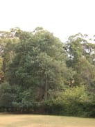 Gardners Bay House | 'Talune' Cabins Gardners Bay