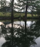 Vanderpool Other | Madrone Hills Ranch