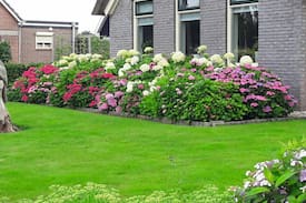 Municipality of Elburg Other | Slapen tussen de weilanden
