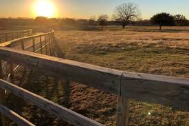 Chappell Hill House | Bella's Bluebird Ranch & Oasis