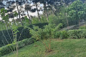 Kiserian House | Mubooni gardens cottage at Kiserian breeze .