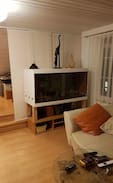 Uttwil Apartment | Wellness am Bodensee. Solarium Sauna Whirlpool