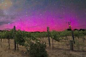 Sellicks Hill Other | The Treehouse McLaren Vale Vineyard