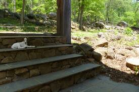 Peaks Cabin | Graham Ordinary: 1700's Lodge, Stunning Views