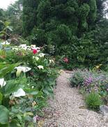 Avoca House | Thimblebell Wood, Avoca, The Meeting of The Waters