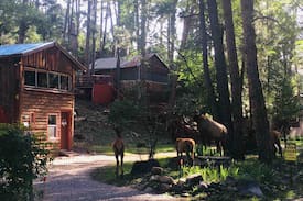 Ruidoso Cabin | Hootie’s Cabin in the Pines.