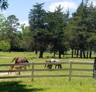 Goodrich Other | Trinity River Resort and Ranch Slot 2
