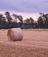 Myrtleford House | Valli - 3 Bedroom House in Myrtleford.