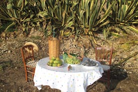 Borgo Bonsignore Villa | Villa Sortino a Seccagrande