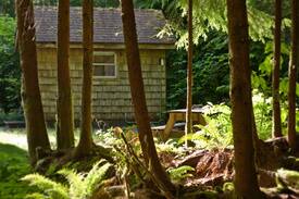 Forks Cabin | Manitou Lodge-Outback Cabin