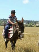 Dipkarpaz Hotel | KARPAZ FARM HOUSE