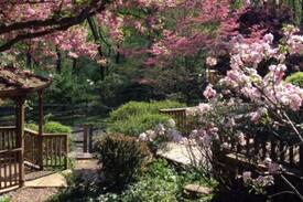 Gradyville House | Radnor Hunt private in-law suite with pool