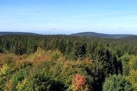 Goslar Apartment | Fewo Wellbrock - Traumhafter Ausblick zum Relaxen