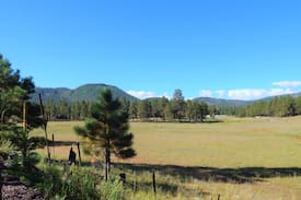 Alpine Cabin | Cow Camp Cabins #1