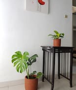 Central Yogyakarta House | Gampingan Tigadua