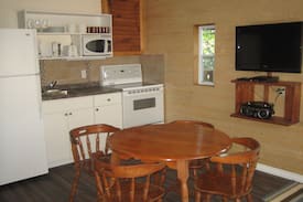 Sables-Spanish Rivers Cabin | Pine Cottage - Waterfront on Maple Lake