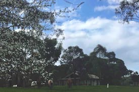Fairhaven Other | The Glen Farm Cottages 27 guests Aireys Inlet Vic