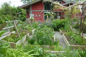 Denman Island Bed & Breakfast | Maresia Bed and Breakfast
