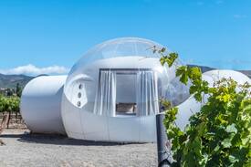 Valle de Guadalupe House | Bubble Suite 4 Campera Hotel Burbuja