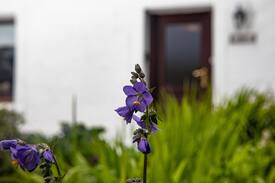 Breakish House | Fasgadh Crofters Cottage Isle of Skye