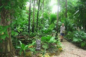 Coconut Grove House | BUDDHA'S JUNGLE. COCONUT GRV. SHARE 3 night min.