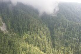Abbottabad House | Home Like Home in Kuza Gali